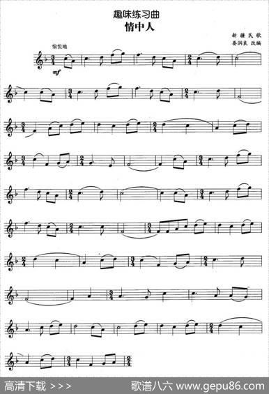趣味练习曲：情中人