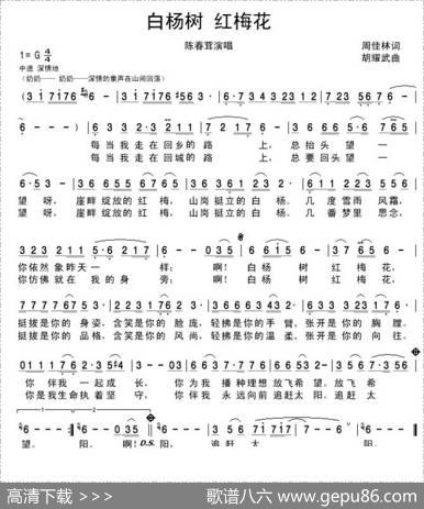 白杨树红梅花 - 周佳琳|胡耀武