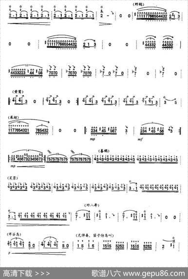 百鸟引|顾冠仁、孔庆宝