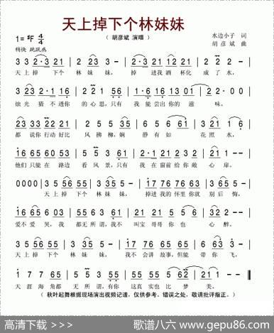 天上掉下个林妹妹 - 水边小子|胡彦斌