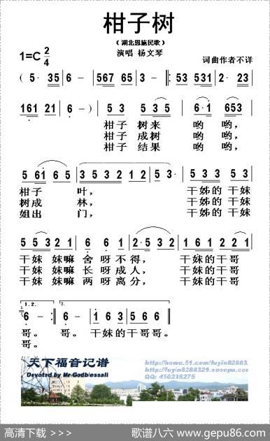 柑子书