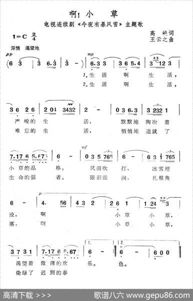啊！小草（电视连续剧《今夜有暴风雪》主题歌） - 高峻|王云之