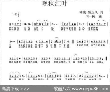晚秋红叶
