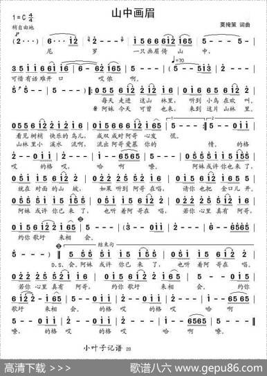 山中画眉 - 莫掩策|莫掩策