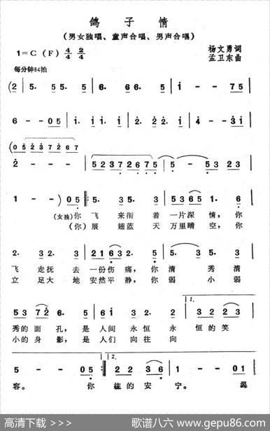 鸽子情 - 杨文勇|孟卫东
