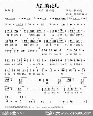 火红的花儿 - 张启靓|张启靓