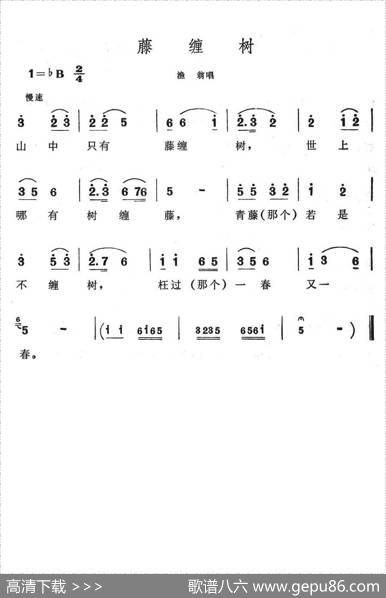藤缠树（歌舞剧《刘三姐》选曲）