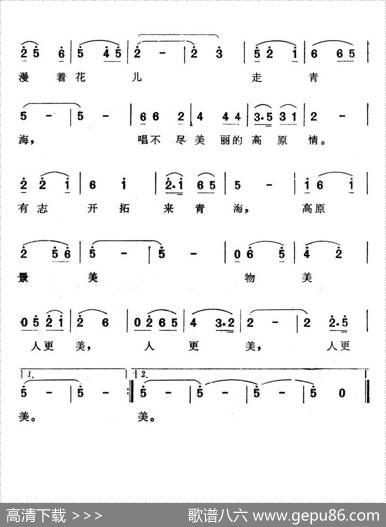 青海行（电视艺术片《青海高原好风光》选曲） - 思力|海涛