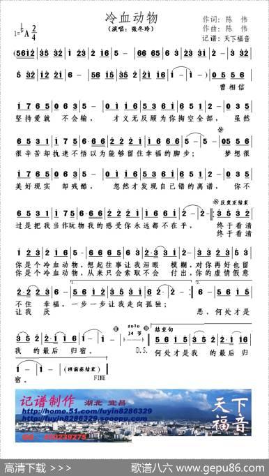 冷血动物（陈伟词曲） - 陈伟|陈伟