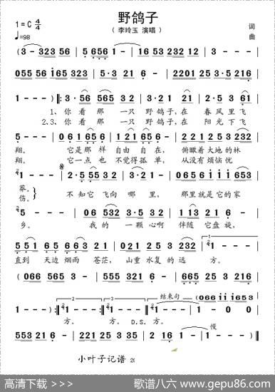野鸽子