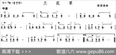 兰花草