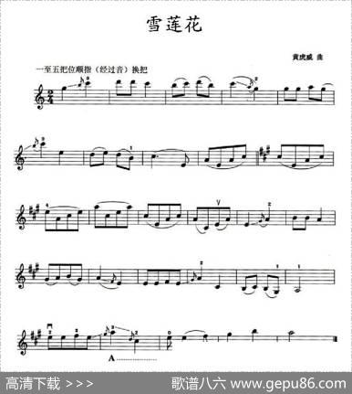 雪莲花|黄虎威