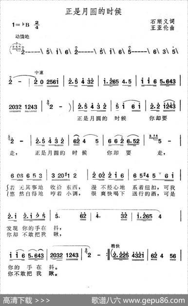 正是月圆的时候（石顺义词王亚伦曲） - 石顺义|王亚伦