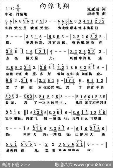 向你飞翔 - 张亚君|华维明