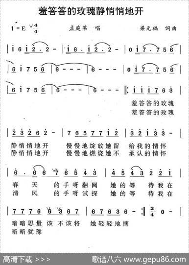 羞答答的玫瑰静悄悄的开 - 梁元福|梁元福