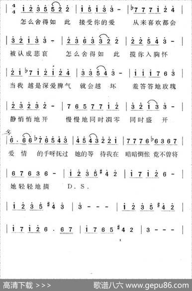 羞答答的玫瑰静悄悄的开 - 梁元福|梁元福