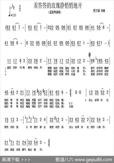 羞答答的玫瑰静悄悄的开 - 梁元福|梁元福