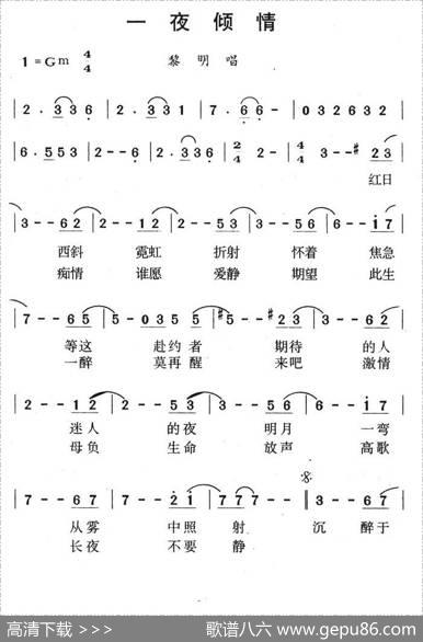 一夜倾情