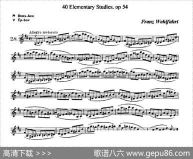 40首小提琴初级技巧练习曲之28|弗朗茨·沃尔法特