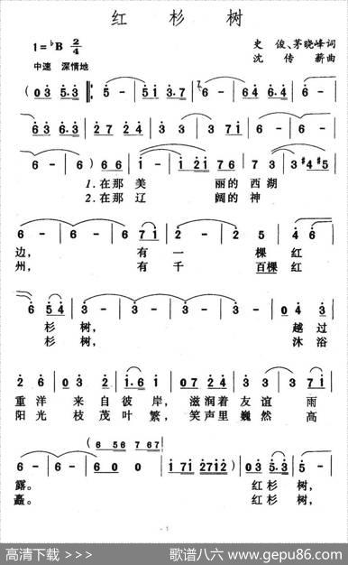 红杉树 - 史俊|沈传薪