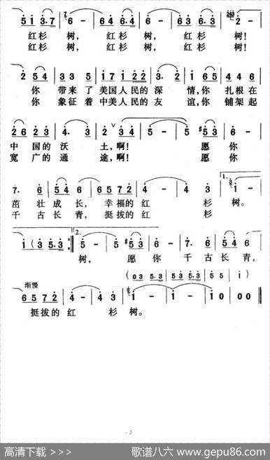 红杉树 - 史俊|沈传薪