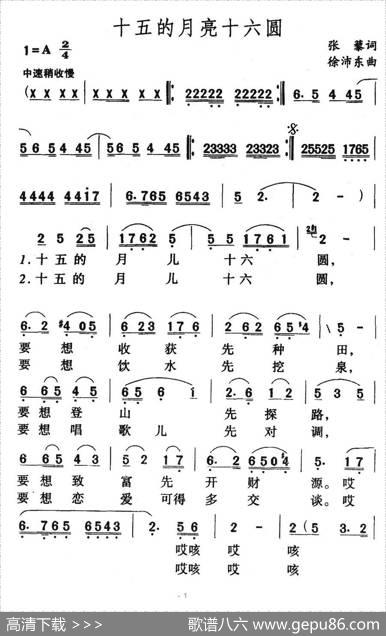 十五的月亮十六圆 - 张藜|徐沛东