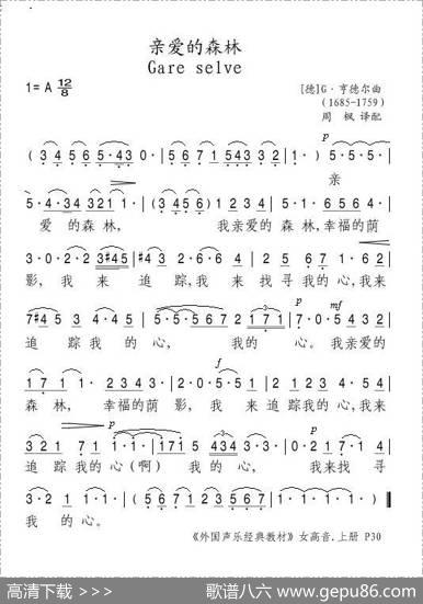 亲爱的森林