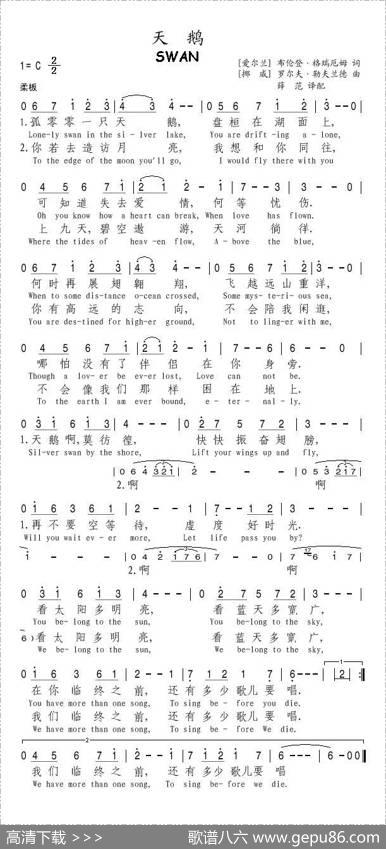 天鹅