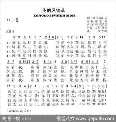 我的风铃草