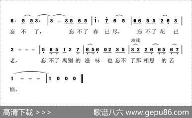 不了情（陶泰词莫然曲） - 陶泰|莫然