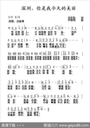 深圳，你是我今天的美丽 - 龙伏佑|华维明