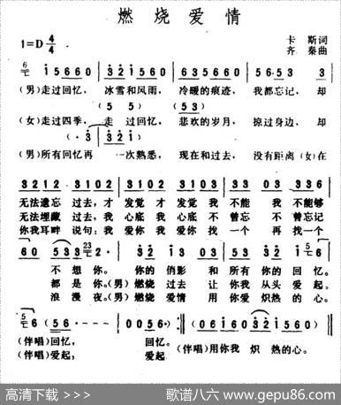 燃烧爱情 - 卡斯|齐秦