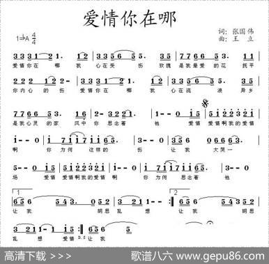 爱情你在哪 - 张国伟|王立