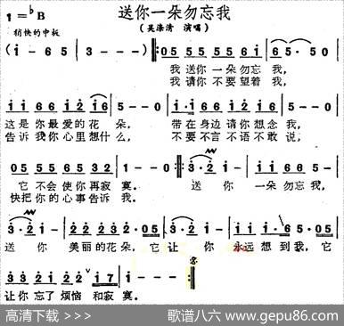 送你一朵勿忘我