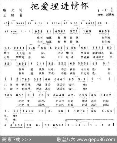 把爱埋进情怀 - 晓光|王酩