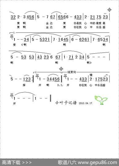 永远的金达莱