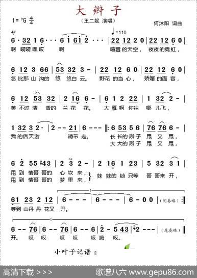 大辫子 - 何沐阳|何沐阳