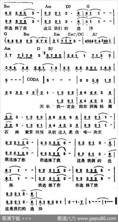 选择（陈大力词陈秀男曲） - 陈大力|陈秀男