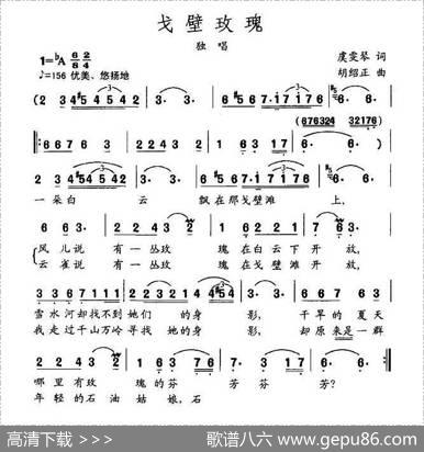 戈壁玫瑰 - 虞文琴|胡绍正