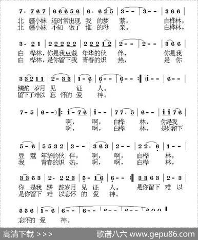 怀念白桦林 - 王德清|荣亚楠