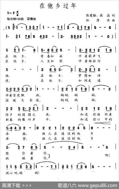 在他乡过年 - 张爱勤|孙厚存