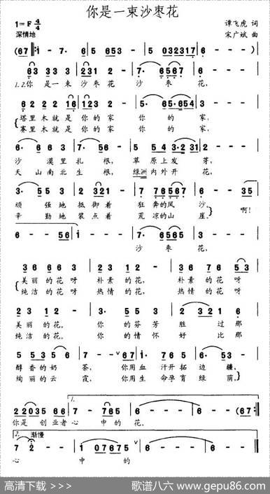 你是一束沙枣花 - 谭飞虎|宋广斌