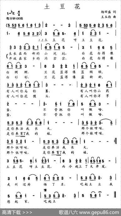 土豆花 - 杨田盛|王玉西
