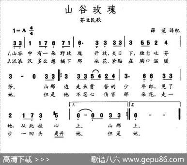 山谷玫瑰（芬兰）