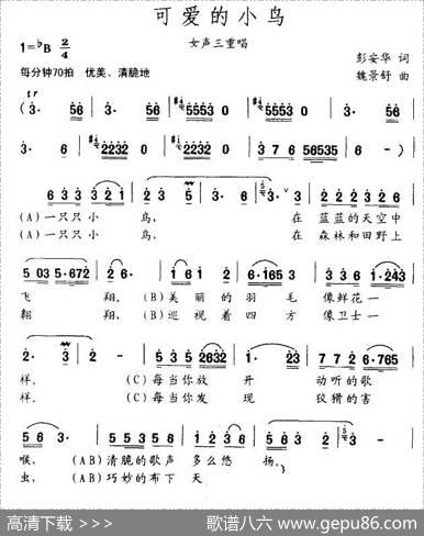 可爱的小鸟 - 彭安华|魏景舒