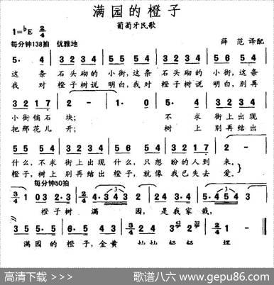 满园的橙子（葡萄牙）