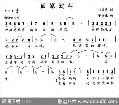 回家过年（孙义勇词董兴东曲） - 孙义勇|董兴东