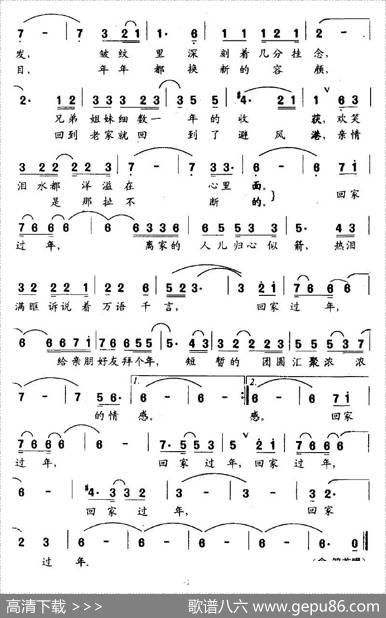 回家过年（孙义勇词董兴东曲） - 孙义勇|董兴东