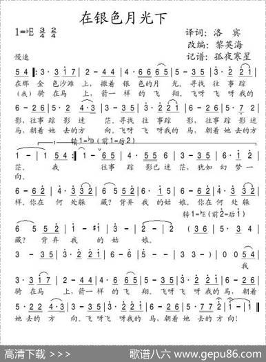在银色月光下（2段歌词版） - 洛斌