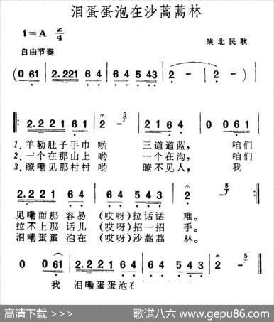 泪蛋蛋泡在沙蒿蒿林|陕北民歌